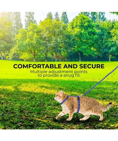 Cat Harness with Leash 3-Pack - Stars Moon Paw Heart Design - Escape Proof - for Walking Small Medium Large Cats - Black Red Blue - Adjustable & Safe - Set of 3 - Buy Online on SooperMarket.com