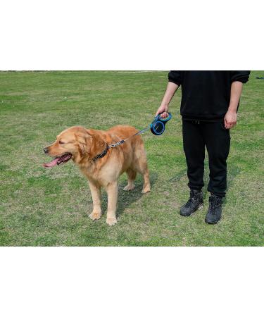 Extendable Dog Lead Tangle-Free Retractable Dog Lead with Anti-Slip Handle 3m 5m 8m Long Anti Theft Dog Leads Strong Nylon Tape Suitable for Small Medium Large Dogs Blue Blue 8 m (Pack of 1) - Buy Online on SooperMarket.com