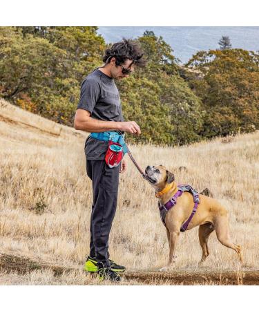 Kurgo Go Stuff-It Food Bag | Keep Dog Treats Fresh for Training | 11 cm Wide Opening | Red - Buy Online on SooperMarket.com