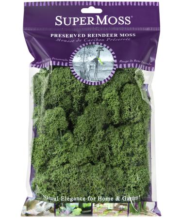 SuperMoss (23080) Reindeer Moss Preserved, Basil, 2 Ounces