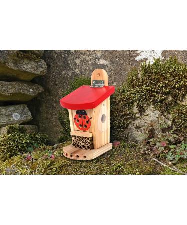 Wildlife World LBT4 Live Ladybird Lodge in Red/Brown - Natural Pest Control Solution - Buy Online on SooperMarket.com
