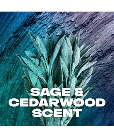 AXE Apollo Deodorant Spray - 48 Hour Odor Protection | Fresh Sage & Cedarwood | Aluminum-Free & Residue-Free | 4 oz - Buy Internationally - Buy Online on SooperMarket.com