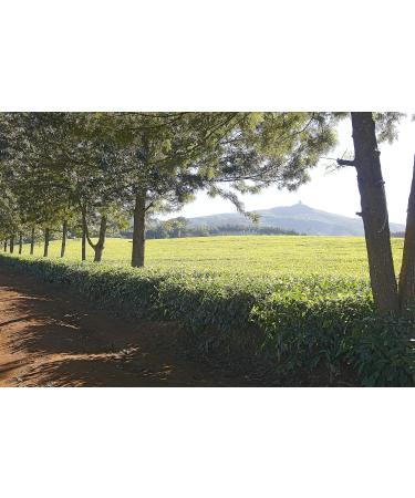 Rare Tea Company Speedy Breakfast Loose Leaf Black Tea 50g Tin - Buy Online on SooperMarket.com