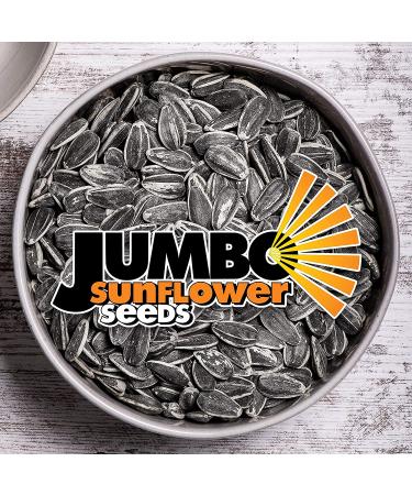 JUMBO SUNFLOWER SEEDS Ranch 16oz - Pack of 6 | Crunchy Snack - Buy Online on SooperMarket.com