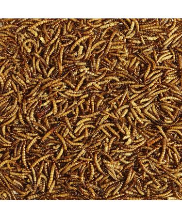 Kaytee Mealworm Food Pouch 17.6 oz - Premium Bird Food for Healthy Mealworms - Buy Online on SooperMarket.com