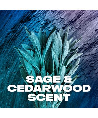 AXE 2-in-1 Shampoo & Conditioner Apollo - Clean & Strong Hair Sage & Cedarwood 100% Recycled Bottle 28 oz | International Shipping - Buy Online on SooperMarket.com