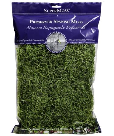 SuperMoss (26912) Spanish Moss Preserved, Grass, 8oz (200 cubic inch)