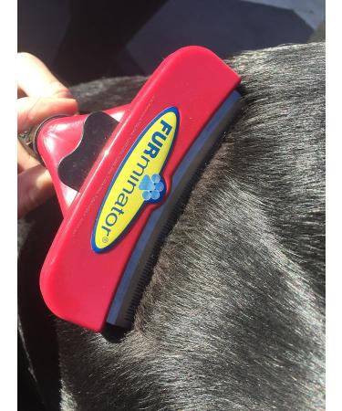 FURminator FURflex Grooming Brush for Large Dogs | DeShedding Attachment for Undercoat Removal | Size L - Best International Shipping - Buy Online on SooperMarket.com