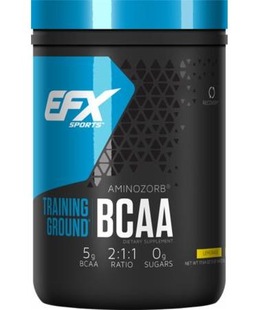 EFX Training Ground BCAA