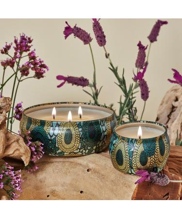 Shop VOLUSPA French Cade & Lavender Home Diffuser - 3.4 oz/ 100 mL Online - Best Price & International Shipping - Buy Online on SooperMarket.com