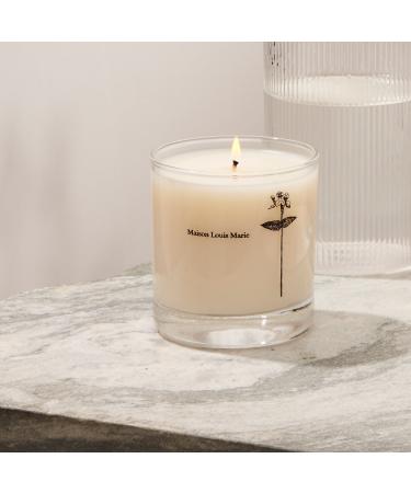 Shop Maison Louis Marie Antidris Cassis Candle - 8.5 oz / 241 g Online - Best Price & International Shipping - Buy Online on SooperMarket.com