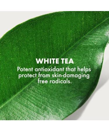 Shop Origins A Perfect World SPF 40 Age-Defense Moisturizer with White Tea - 1.7 oz/ 50 mL Online - Best Price & International Shipping - Buy Online on SooperMarket.com