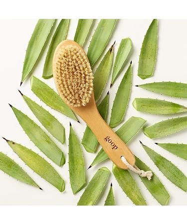 Shop goop G.Tox Ultimate Dry Brush Online - Best Price & International Shipping - Buy Online on SooperMarket.com