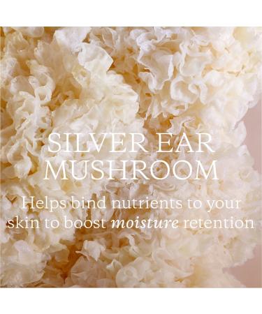 Shop KORA Organics Milky Mushroom Gentle Cleansing Oil Makeup Remover - 5.0 oz/ 150 mL Online - Best Price & International Shipping - Buy Online on SooperMarket.com
