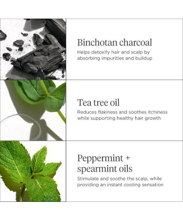 Shop Briogeo Scalp Revival Charcoal + Tea Tree Cooling Hydration Mask for Dry Itchy Scalp - 6 oz/ 177 mL Online - Best Price & International Shipping - Buy Online on SooperMarket.com