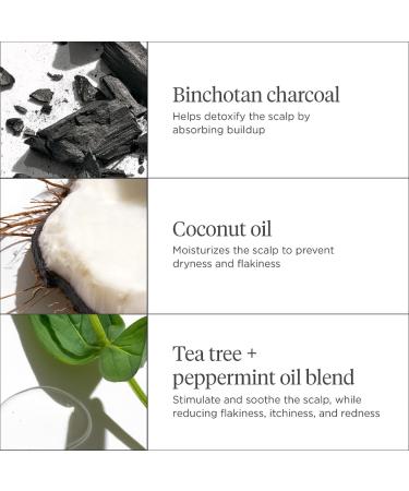 Shop Briogeo Scalp Revival Soothe + Detoxify Travel Set for Dry Itchy Oily Scalp Online - Best Price & International Shipping - Buy Online on SooperMarket.com