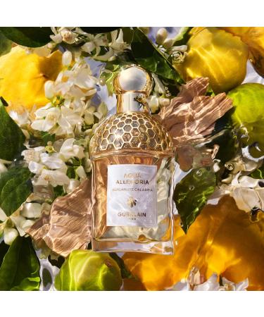 Shop GUERLAIN Aqua Allegoria Bergamote Calabria Eau de Toilette - 2.5 oz / 75 mL Online - Best Price & International Shipping - Buy Online on SooperMarket.com