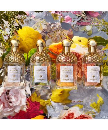 Shop GUERLAIN Aqua Allegoria Bergamote Calabria Eau de Toilette - 2.5 oz / 75 mL Online - Best Price & International Shipping - Buy Online on SooperMarket.com