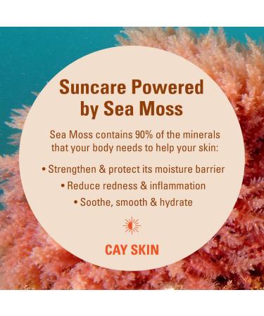 Shop CAY SKIN Isle Body Oil Sunscreen SPF 30 with Sea Moss and Squalane - 3.7 oz / 110 mL Online - Best Price & International Shipping - Buy Online on SooperMarket.com