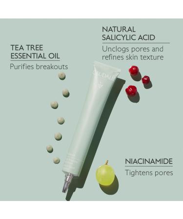 Shop Caudalie Vinopure Color Correcting Spot Solution with Salicylic Acid - .5 oz / 15 ml Online - Best Price & International Shipping - Buy Online on SooperMarket.com