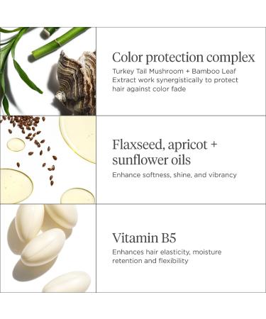 Shop Briogeo Color Me Brilliant Mushroom + Bamboo Color Protect Conditioner - 8 oz / 236 ml Online - Best Price & International Shipping - Buy Online on SooperMarket.com