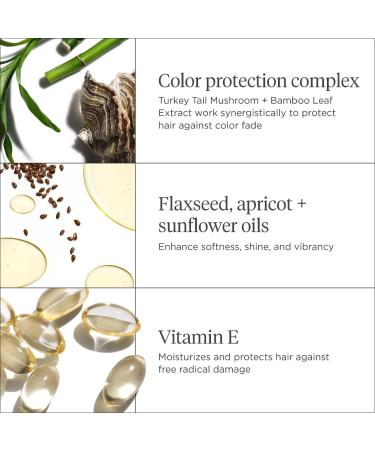 Shop Briogeo Color Me Brilliant Mushroom + Bamboo Color Protect Primer - 3.4 oz / 100 ml Online - Best Price & International Shipping - Buy Online on SooperMarket.com
