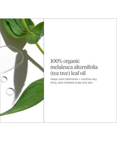 Shop Briogeo Scalp Revival Organic + Australian 100% Tea Tree Oil - 1 oz / 30 ml Online - Best Price & International Shipping - Buy Online on SooperMarket.com