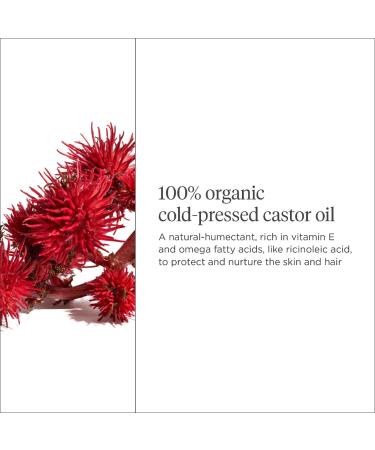 Shop Briogeo Curl Charisma Organic + Cold-Pressed 100% Castor Oil - 1.5 oz / 45 ml Online - Best Price & International Shipping - Buy Online on SooperMarket.com