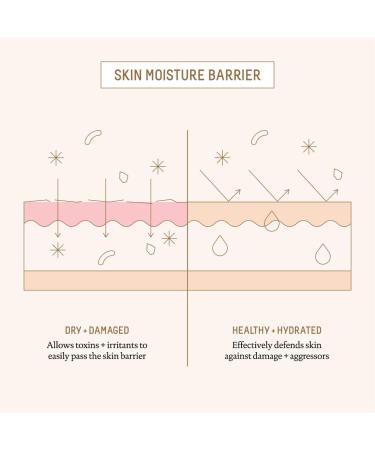 Shop Biossance Squalane + Ectoin Overnight Rescue Deep Repair Night Cream - 1.69 oz / 50 mL Online - Best Price & International Shipping - Buy Online on SooperMarket.com