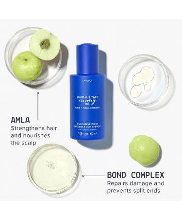 Shop AAVRANI Hair and Scalp Recovery Pre-Wash Oil for Strengthening and Frizz Control - 1.7 oz Online - Best Price & International Shipping - Buy Online on SooperMarket.com