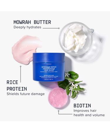 Shop AAVRANI Deep Conditioning Hair Mask for Dry Damaged Hair - 8.4 oz Online - Best Price & International Shipping - Buy Online on SooperMarket.com