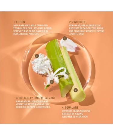 Shop Biossance Squalane + Zinc Sheer Hydrating Mineral Face Sunscreen SPF 30 with Ectoin - 1.6 oz Online - Best Price & International Shipping - Buy Online on SooperMarket.com