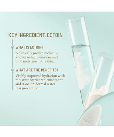Shop Biossance Squalane + Zinc Sheer Hydrating Mineral Face Sunscreen SPF 30 with Ectoin - 1.6 oz Online - Best Price & International Shipping - Buy Online on SooperMarket.com