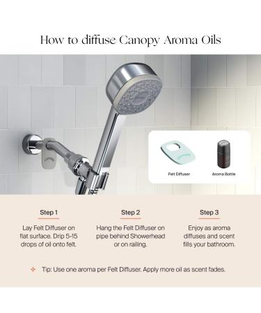 Shop CANOPY Handheld Filtered Showerhead for Healthy Skin & Hair - 1 / 3 in x 3 in x 12 in Matte Black Online - Best Price & International Shipping - Buy Online on SooperMarket.com