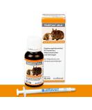 Alfavet Rodicare Acute Supplementary feed for regulating digestive processes for rabbits guinea pigs and small rodents 15ml glass bottle with dosing sprayer - Buy Online on SooperMarket.com