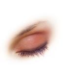 ShadowSense by SeneGence (Mulberry) - Buy Online on SooperMarket.com