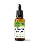 Vimergy Lemon Balm 57 Servings Lemon Balm Extract Glycerin-Based Liquid Lemon Balm Supplement Vegan Supplement Formulated Without Sugar or Binders Non-GMO & Gluten-Free (115 ml) 115 ml (Pack of 1) - Buy Online on SooperMarket.com