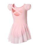 DIPUG Ballet Leotards for Girls Ballet Leotard with Skirt Toddler Dance Leotards Flutter Sleeve and Criss-Cross Back 4-6 Years Pink - Buy Online on SooperMarket.com