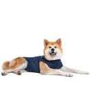 MPS Medical Pet Shirt Dog Blue for XX-Large Dogs Blue 2XL (Pack of 1) - Buy Online on SooperMarket.com