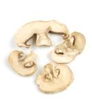 Dried Sliced Champignon White Button Mushrooms - 1 lb | Premium Quality - Buy Online on SooperMarket.com
