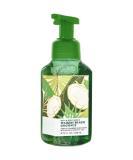 Bath & Body Works Gentle Foaming Hand Soap 2-Pack (Waikiki Beach Coconut) - 8.75 oz - Buy Online on SooperMarket.com