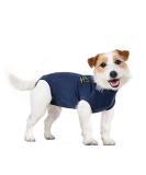 MPS Medical Pet Shirt Dog Blue for XX-Small Dogs Blue 2XS (Pack of 1) - Buy Online on SooperMarket.com