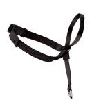 PetSafe Easy Walk Head Collar - Gentle and Effective Control for Dogs - Buy Online on SooperMarket.com