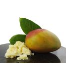 Mango Butter - 500g - Cosmetic Grade - 100% Pure and Natural 500 g (Pack of 1) - Buy Online on SooperMarket.com