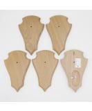 Buy 5-Piece REH Trophy Signs - Light Oak 21x13 cm with Pine Compartment | International Shipping Available - Buy Online on SooperMarket.com