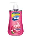 Dial Anti-Bacterial Watermelon Hand Soap - 7.5 Fl Oz - Buy Online on SooperMarket.com