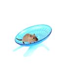 Silent Hamster Wheel Hamster Flying Saucer Plastic Running Wheel Playing Toy Hamster Running Sports Wheel for Gerbils Squirrels Guinea Pig Syrian Small Animals Pets - Buy Online on SooperMarket.com