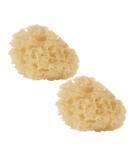 Jan natural sponge 2 pieces soft especially for newborns baby hygiene - Buy Online on SooperMarket.com