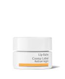 Dr. Hauschka Lip Balm - 0.15 fl oz | Moisturizing Organic Lip Care - Buy Online on SooperMarket.com
