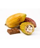Cacao fruit - cocoa pods - Exotic fruit - Fresh from the Caribbean - Sourced by My Exotic Fruit - Buy Online on SooperMarket.com